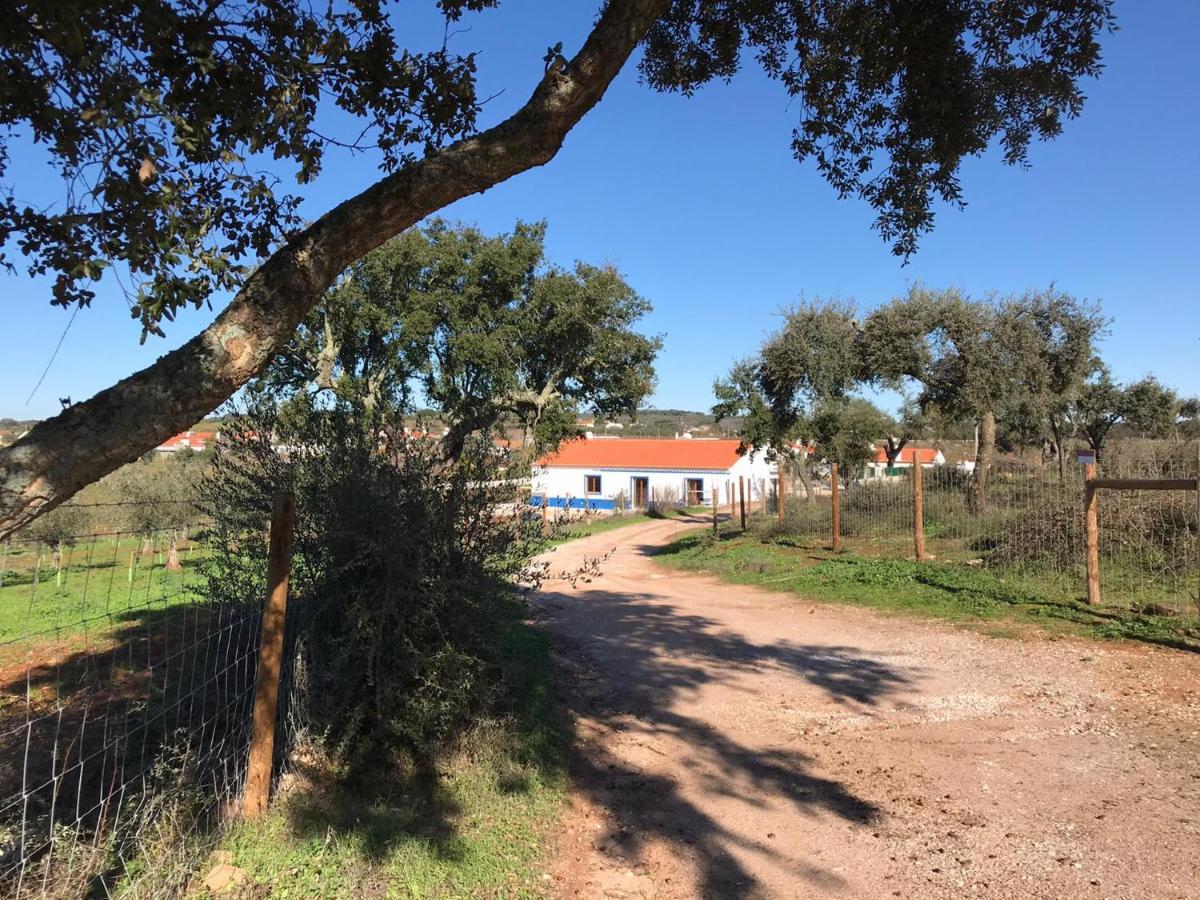 Herdade Da Maridona - Agroturismo 에스트레모즈 외부 사진